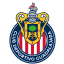 Guadalajara logo